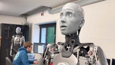 Étude : Les humains pourraient accepter les « petits mensonges » d’un robot
