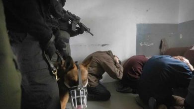 « Humiliation et mauvais traitements » des prisonniers palestiniens : un « exercice de routine » dans les prisons israéliennes