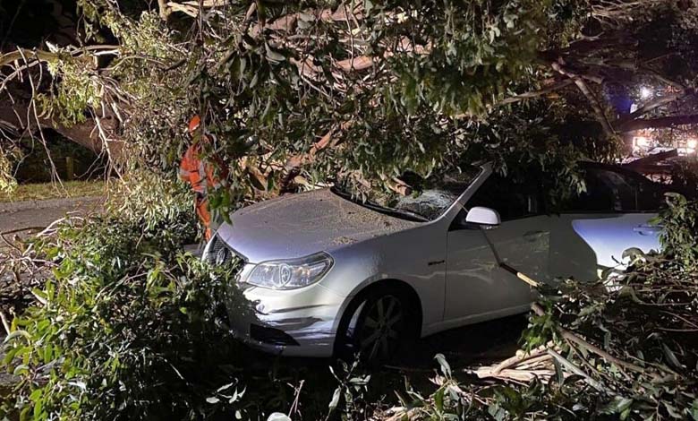 Morts et coupures d'électricité en Australie à cause des tempêtes