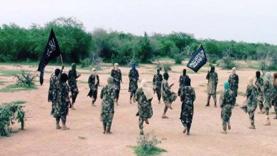 Quelles sont les raisons de l'augmentation de l'activité de Daech en Afrique et quels sont les scénarios pour l'éradiquer ?