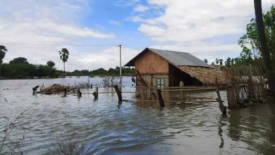 Aggravation de la crise humanitaire au Nigeria en raison des inondations persistantes