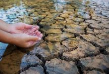 Avertissement sur la pénurie alimentaire : Un comité appelle à un accord mondial pour résoudre la crise de l'eau