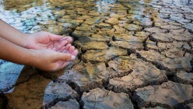 Avertissement sur la pénurie alimentaire : Un comité appelle à un accord mondial pour résoudre la crise de l'eau