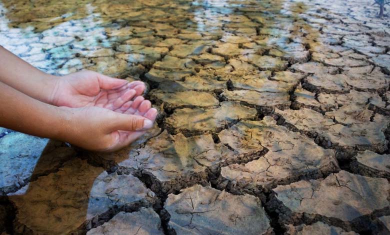 Avertissement sur la pénurie alimentaire : Un comité appelle à un accord mondial pour résoudre la crise de l'eau