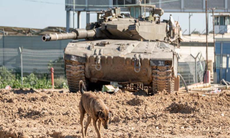 Des cadavres dévorés par des chiens errants : « Tragédie » au nord de Gaza décrite par Jabalia