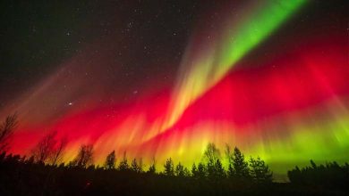 Des lumières éblouissantes ont illuminé le ciel de couleurs et de beauté