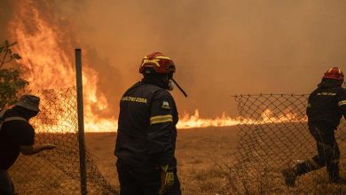 Destruction de milliers d'hectares... La Grèce lutte pour maîtriser un incendie massif