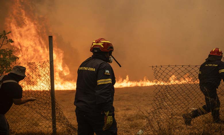 Destruction de milliers d'hectares... La Grèce lutte pour maîtriser un incendie massif