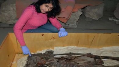 Découverte "stupéfiante" lors de la dissection des mains de momies au Pérou