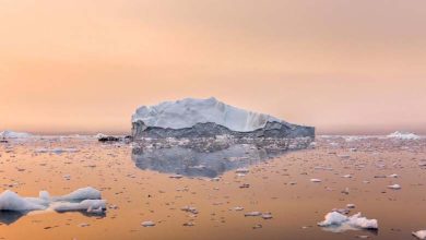 Le rythme de réchauffement des océans s’est accéléré depuis 2005