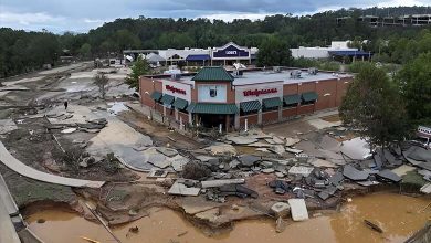 L'ouragan Helene fait plus de 200 morts aux États-Unis