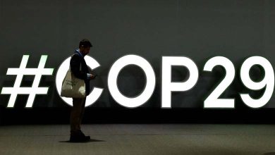 "Décevant" : La France critique l'accord de la COP 29