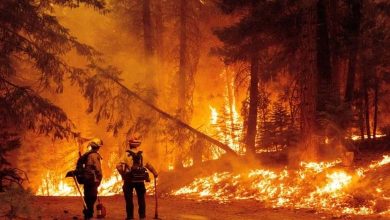 Malgré les pluies... le New Jersey lutte contre les feux de forêt