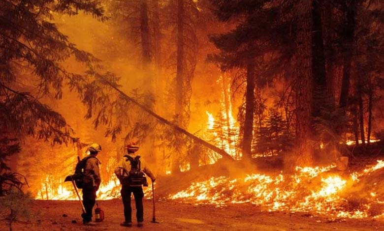 Malgré les pluies... le New Jersey lutte contre les feux de forêt