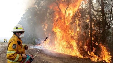 Australie : Les pompiers luttent contre un immense incendie dans le sud-est du pays