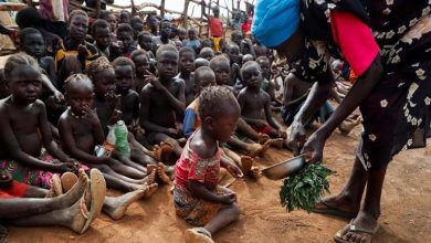 La faim, le déplacement et la guerre : le triangle de la terreur au Darfour