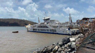 Mayotte déclarée zone sinistrée en raison du cyclone "Chido"