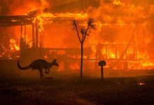 Un incendie de forêt dans un parc australien cause des pertes importantes