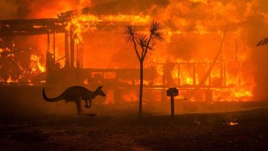 Un incendie de forêt dans un parc australien cause des pertes importantes