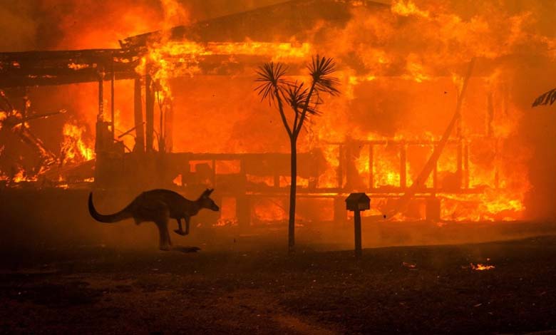 Un incendie de forêt dans un parc australien cause des pertes importantes