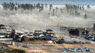 Des vagues de tsunami frappent la préfecture de Miyazaki au Japon