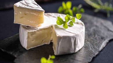 Découvrez l’effet du fromage "Camembert" sur la mémoire