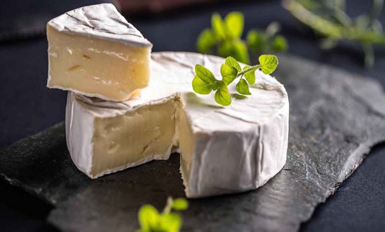 Découvrez l’effet du fromage "Camembert" sur la mémoire