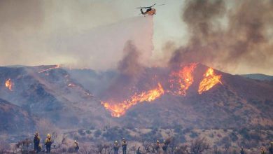 Le réchauffement climatique a-t-il contribué aux incendies en Californie ?