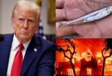 Les incendies de Los Angeles : Trump utilise un poisson en voie d’extinction comme "bouc émissaire"