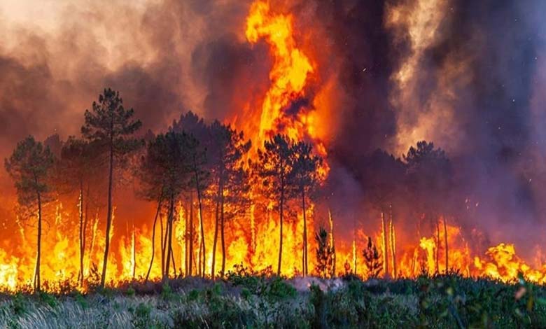 Les incendies géants : une énigme préoccupante pour les scientifiques