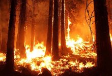 Los Angeles : 57 milliards de dollars de pertes dues aux incendies