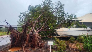 Australie : Le cyclone "Zelia" frappe l'une des principales régions minières du monde