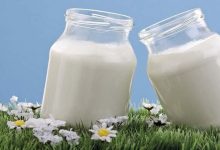 Le rejet du lactose… Comment le lait devient-il un ennemi ?