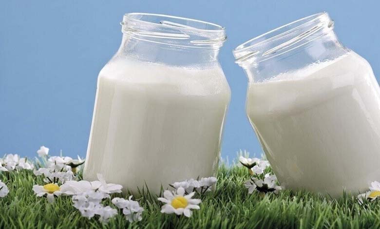 Le rejet du lactose… Comment le lait devient-il un ennemi ?