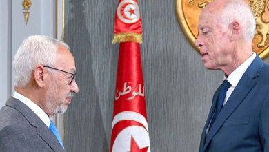 Réforme sans Frères Musulmans : Un Politicien Tunisien Trace la Voie de l’Unité