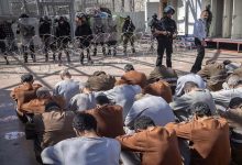 De Sde Teiman à Ofer et Antout Témoignages choquants des prisonniers de Gaza