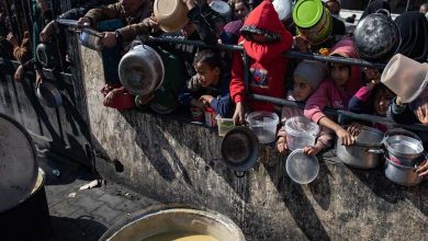 Israël sous le feu des critiques… Avertissements sur la famine et le chaos à Gaza