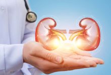 Conseils pour préserver la santé des reins chez l’enfant