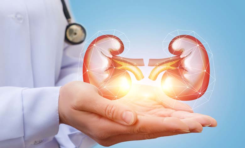 Conseils pour préserver la santé des reins chez l’enfant