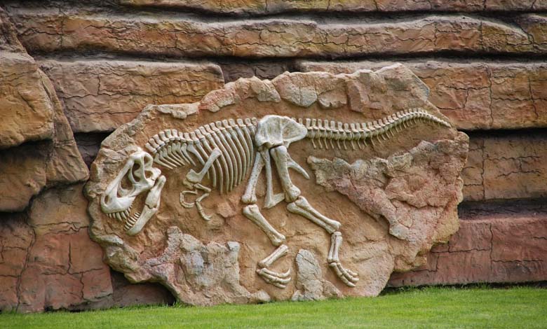 Les fossiles de dinosaures : un espoir insoupçonné dans la lutte contre le cancer ?