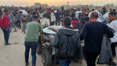 Dernières nouvelles de Gaza : 31 morts sous le feu israélien près d’un centre d’aide humanitaire