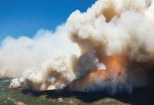 Étude – La fumée des incendies affaiblit l’immunité et modifie les gènes