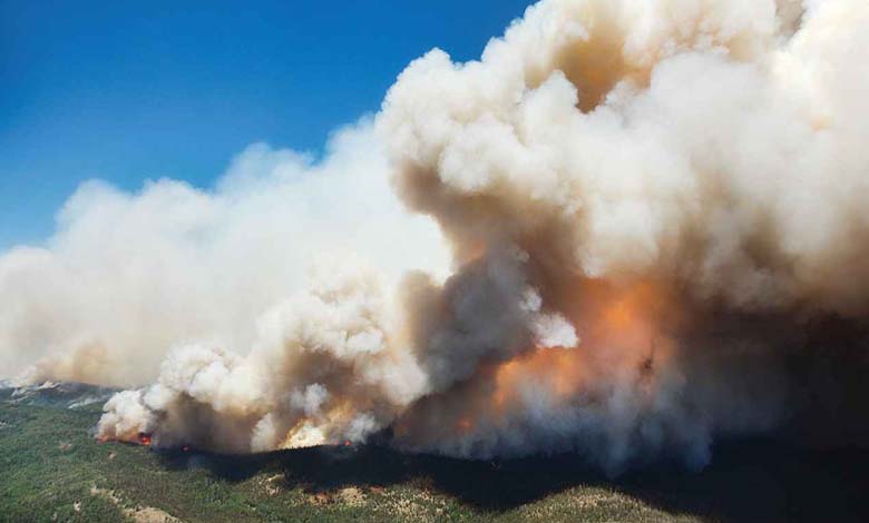 Étude – La fumée des incendies affaiblit l’immunité et modifie les gènes