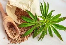 La marijuana menace le cœur : un danger silencieux qui s’intensifie avec la consommation