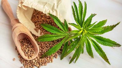 La marijuana menace le cœur : un danger silencieux qui s’intensifie avec la consommation