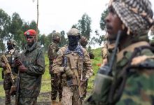 M23 et exécutions sommaires : le visage le plus sanglant du conflit à l’est du Congo