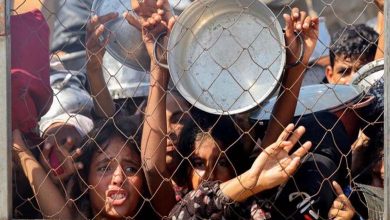 « Je ne peux plus marcher » : quand les journalistes, les affamés et les secouristes s'effondrent à Gaza