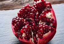 Le Grenade : Le Fruit des Rois et le Secret de la Santé de la Graine à l'Écorce
