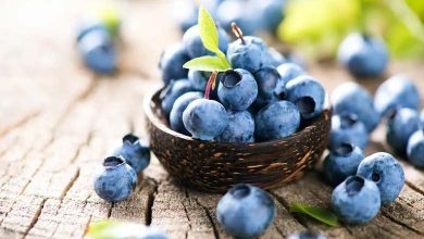 Le bleuet : un fruit miracle pour vivre plus longtemps