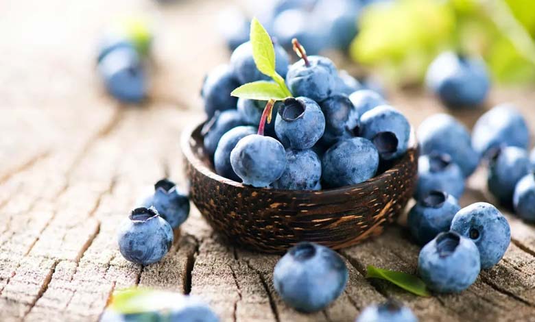 Le bleuet : un fruit miracle pour vivre plus longtemps